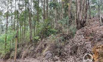 Imagem 3: Terreno à venda com 1654 m²