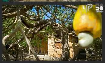 Imagem 3: Casa à venda com 1 dormitório - 1.500m² de área total - 80 m² de área construída