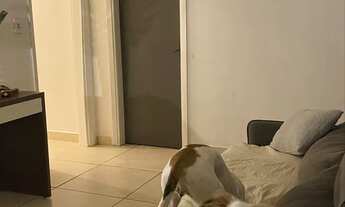 Imagem 4: Aluguel de quarto para homens