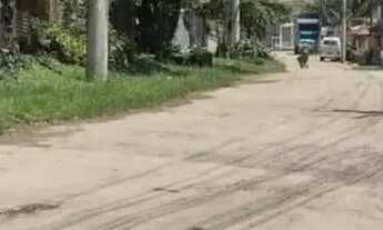 Imagem 6: O2 lotes totalmente planos de 717,20 M2 e 913,90 m2 valores R$220.000 e R$280.00 respect