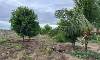 Imagem 3: Chácara Chácara com venda por R$100.000