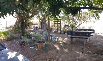 Imagem 3: CHÁCARA. À VENDA - 10.000 m² PREÇO OPORTUNIDADE