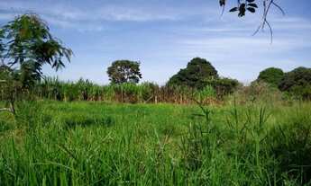 Imagem 4: Vendo Chácara em frente ao Bairro de Fátima com 35 mil metros - Escriturada