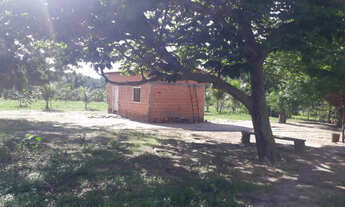 Imagem 5: Vendo chacara a 16 km de imperatriz otimo para lazer e descanso.!