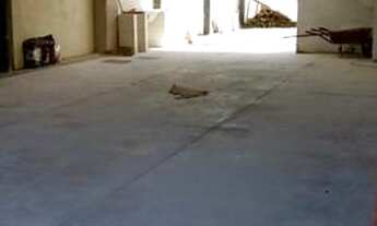 Imagem 7: Aluga-se kitinete