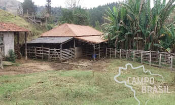 Imagem 6: Campo Brasil Imóveis, realizando seu sonho rural! Sítio com área de 7 alqueires!