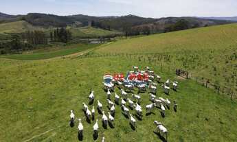 Imagem 2: Fazenda Alvorada em Andradas MG