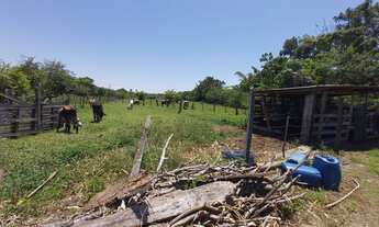 Imagem 4: Terreno de 4 HE em Palhoça-SC