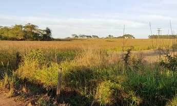 Imagem 4: Sitio em Dourados 25 hectares planta 17