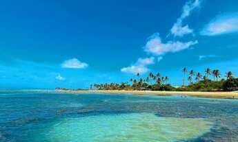 Imagem 3: TERRENO /LOTEAMENTO PARACURU CE