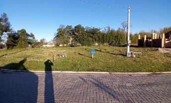 Imagem: Domingos de Almeida