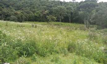 Imagem 6: Sítio de 7 Alqueires, Rico em Água e Terra Fértil!!! - Delfim Moreira/MG