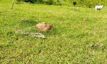Imagem 6: 32R-Lote/Terreno para venda possui 500 metros quadrados em Jardim Brasil -Atibaia - SP!!!!
