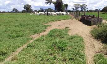 Imagem 2: Fazenda Cocalinho - MT com 986 alqueires!