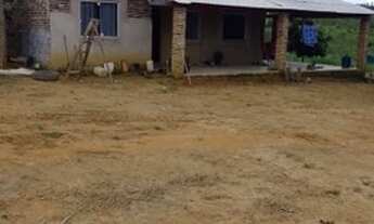 Imagem: Vendo Terra no Para