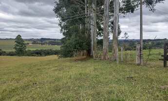 Imagem 3: Sítio Á Venda Região De Itapetininga 4 Alqueires