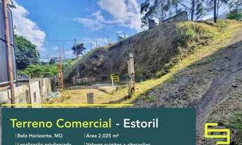 Imagem: Terreno para alugar, 2.025 m² - Estoril