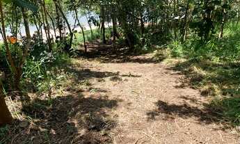 Imagem 5: Terreno com acesso