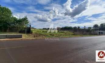 Imagem 2: Terreno (terreno normal