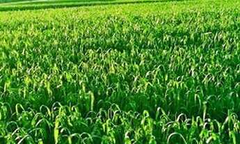 Imagem 2: Crédito Imobiliário de R$ 100.000 a R$ 10.000.000