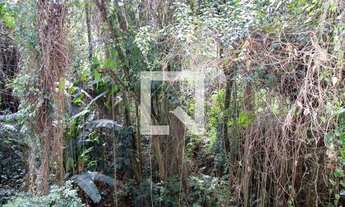 Imagem 6: Casa para Aluguel - Vila Constança , 3 Quartos, 110 m2