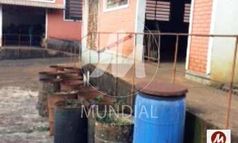 Imagem 6: Salão/Galpão (salão - sobradinho parte inferior) 2 dormitórios/suite