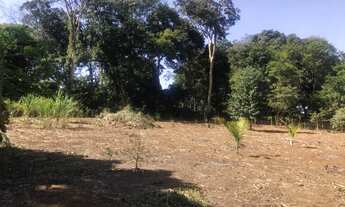 Imagem 2: Chácara dentro de Goiânia