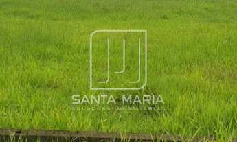 Imagem 2: Terreno (terreno em condominio fechado