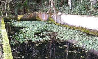 Imagem 7: Exuberante Sítio