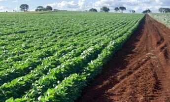 Imagem 5: Sítio Á Venda Entre Tatui E Itapetininga 22 Alqueires