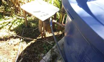 Imagem 3: BORDA DA MATA - Chácara - Serrinha