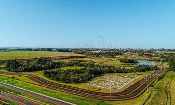 Imagem 4: Toledo - Lote/Terreno - Vila Industrial