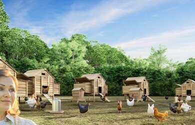 Imagem 7: TERRENO A VENDA NO CONDOMÍNIO FAZENDA BARÃO DO IMPÉRIO em Santa Leopoldina - ES