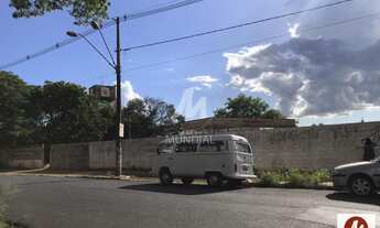 Imagem 2: Terreno (terreno normal