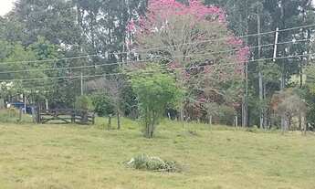 Imagem 7: Sítio Á Venda Região De Itapetininga 4 Alqueires