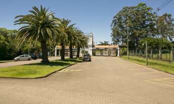 Imagem 2: Viamão - Terreno Padrão - Buena Vista