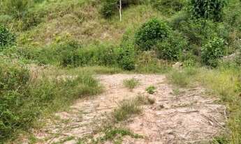 Imagem 4: Sitio Chácara com venda por R$330.000