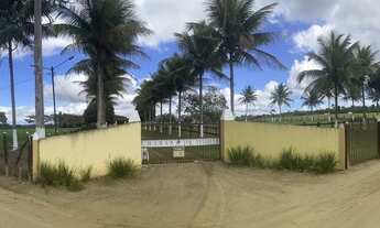 Imagem: Fazenda Pau Ferro - Amargosa BA