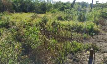 Imagem 5: Lote em Luiz Alves - Rio Araguaia