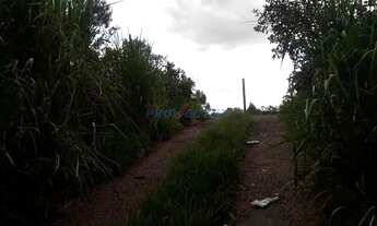 Imagem 6: Terreno - Dois Córregos - Valinhos