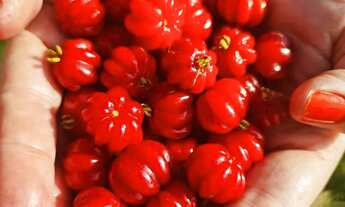 Imagem 5: Melhor unidade disponível do Reserva das Aroeiras