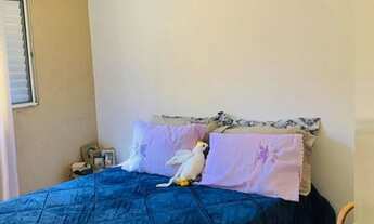 Imagem 5: Apartamento à venda em Terra Preta com 2 dormitórios