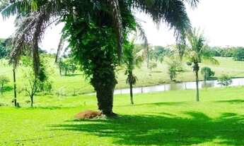Imagem 3: Fazenda 9,5 Alqueires GOIÂNIA