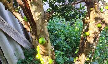 Imagem 6: Casa em bom jesus dos perdões bairro Serra negra