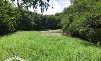 Imagem 6: Chácara com 05 hectares em Chã Grande-PE