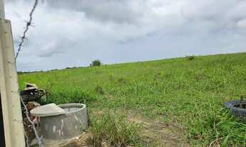 Imagem 4: RANCHO COM 7 HECTARES EM SÃO LUIS / FLEXEIRAS