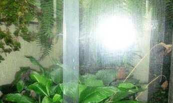 Imagem 7: CASA 280 M² FREGUESIA DO Ó