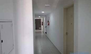 Imagem 7: APARTAMENTO - VILA MASCOTE - SP