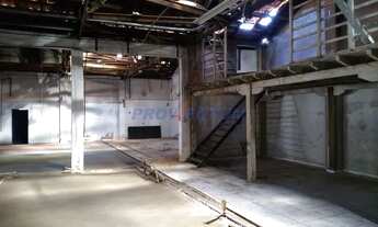 Imagem 7: Galpão - Vila Nova - Campinas