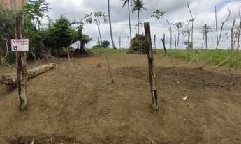 Imagem 2: Vendo excelente lote em Santo Antônio de Jesus